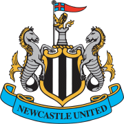 Visit The Millennium Newcastle United FC English Premier League Webpage On This Site