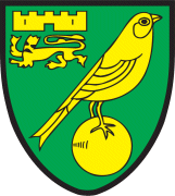 Visit The Millennium Norwich City FC English Premier League Webpage On This Site